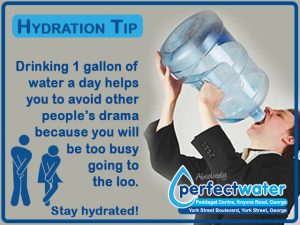 Stay Hydrated with Absolutely Perfect Water George