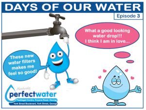 Replacement Water Filters in George 