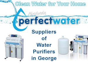 Clean Water for Your George Home