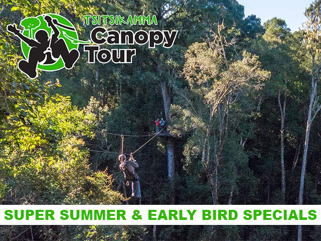 Tsitsikamma Canopy Tour Super Summer Special