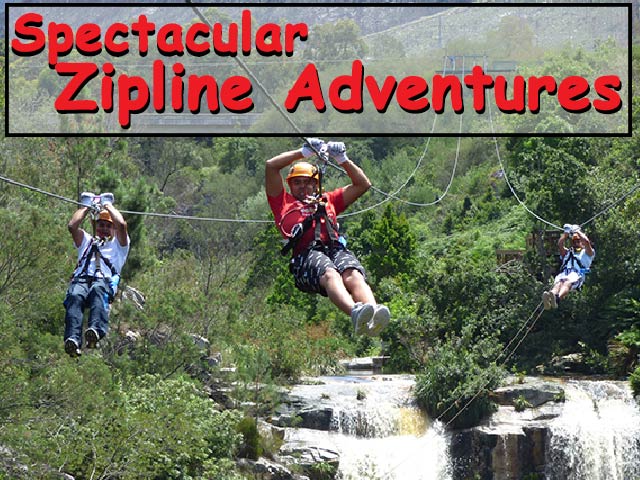 Spectacular Zipline Adventures in Tsitsikamma