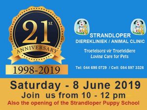 Strandloper Animal Clinic Celebrates its 21st Birthday