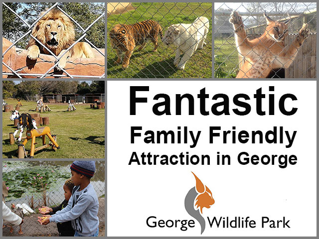 Fantastic Family Friendly Attraction in George