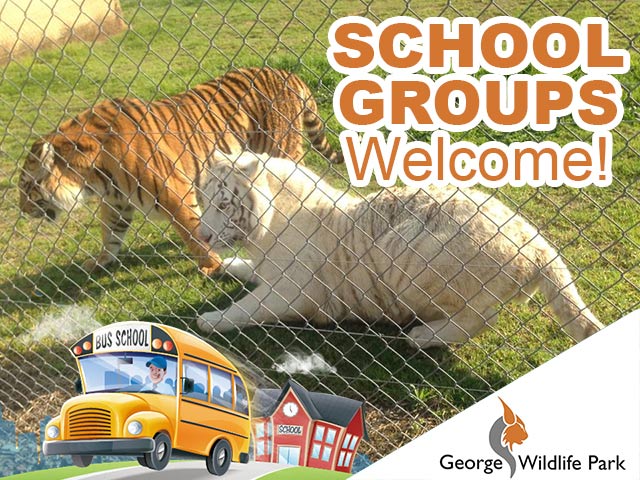Fun and Educational School Outings in George