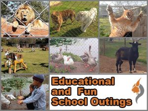 Fun and Educational School Outings in George