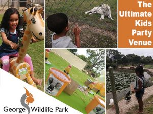 The Ultimate Kids Party Venue in George