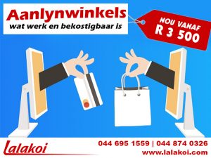 Bekostigbare Aanlynwinkels wat werk!