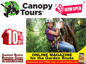 Fantastic Outdoor Adventure at Tsitsikamma Canopy Tour