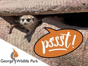 George Wildlife Park Adjusted Trading Hours