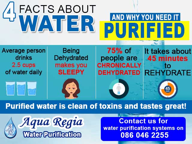 4 Facts about Water and Why You Need It Purified