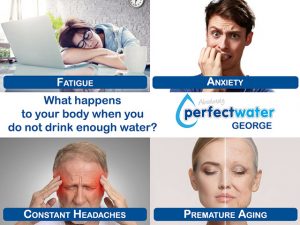 Bottled Refreshments Available in George