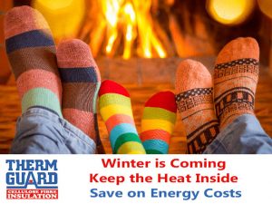 Save on Energy Costs with Ceiling Insulation in the Garden Route