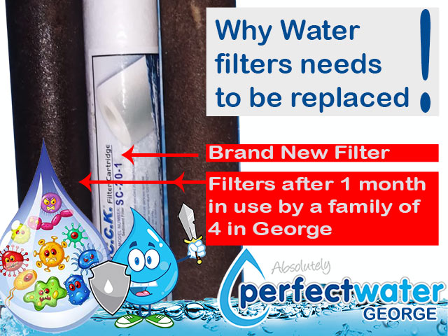 Buy Replacement Water Filters in George
