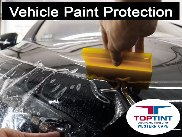 Automotive Paint Protection in the Garden Route