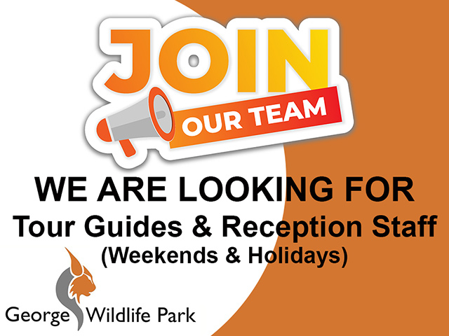 Holiday Job at George Wildlife Park