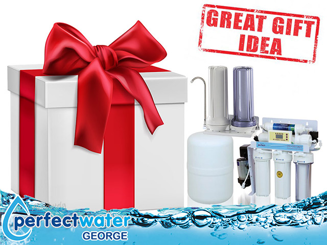 Give the Perfect Gift – Gift Idea – Water Purifier
