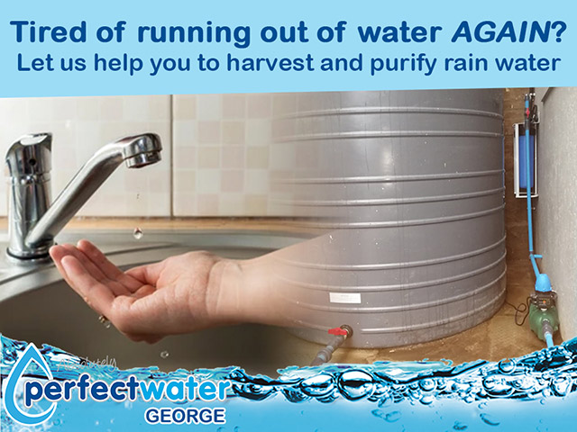Purify Rain Water in the Garden Route