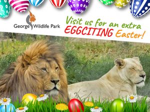Visit the George Wildlife Park for an Extra Exciting Easte