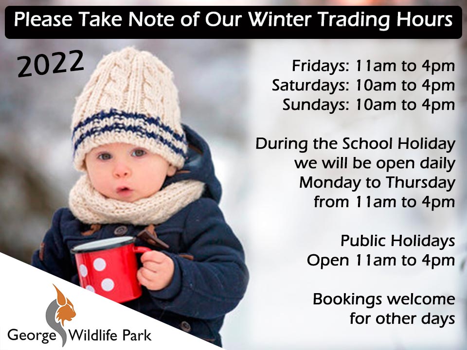 George Wildlife Park Winter 2022 Hours Lalakoi Directory