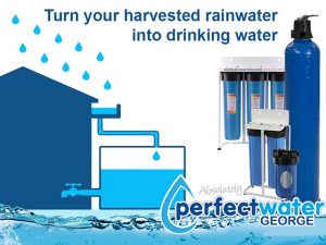 Purifying Rainwater in George