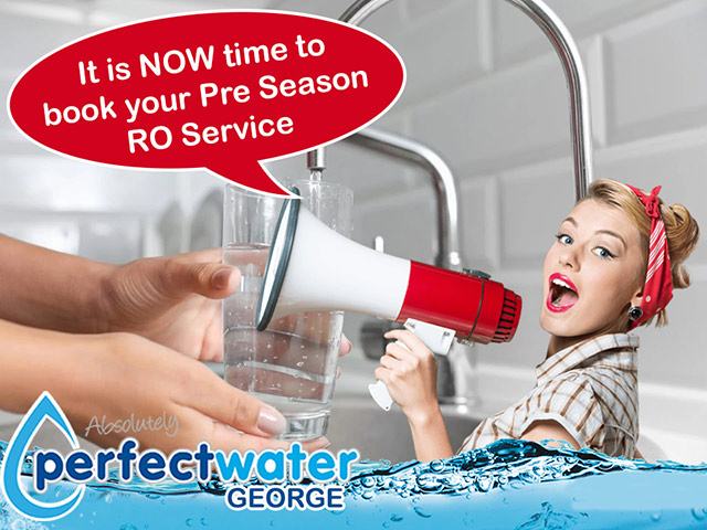 Book Your RO Purifier Service with Perfect Water George