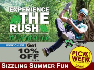 Tsitsikamma Canopy Tour Sizzling Summer Fun