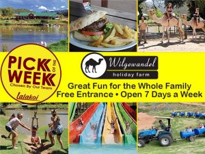 Family Fun at Wilgewandel - Lalakoi Pick of the Week