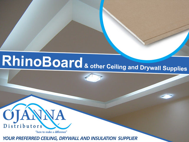 RhinoBoard and other Ceiling and Drywall Supplies in George