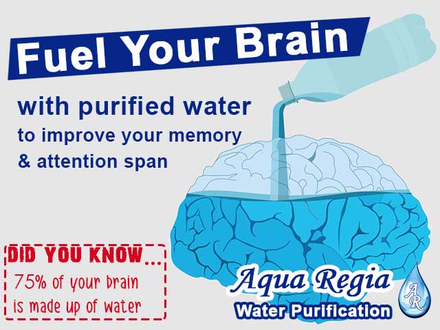 Aqua Regia Fuels your Brain