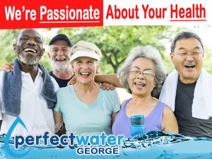 Water Purification Solutions From Perfect Water George