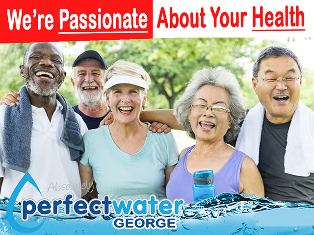 Water Purification Solutions From Perfect Water George