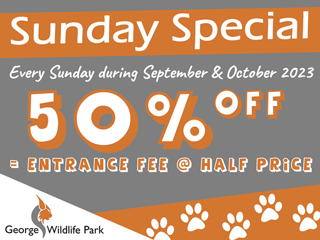 George Wildlife Park Sunday Special