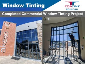 Completed Commercial Window Tinting by TopTint George