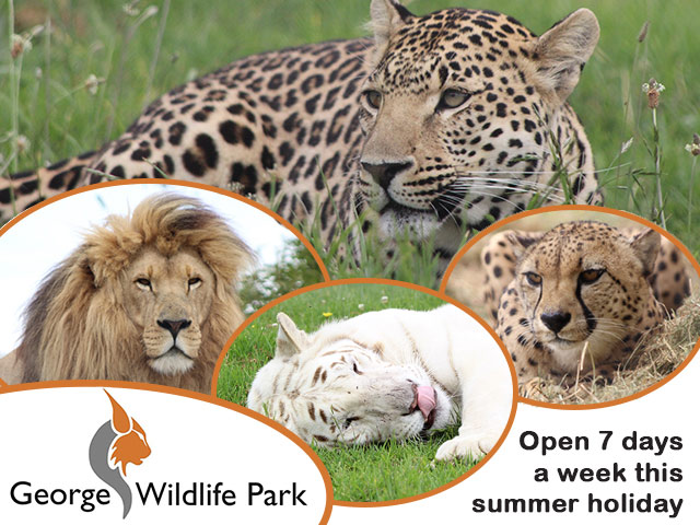 George Wildlife Park Open 7 Days a Week this Holiday