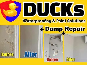 Damp Repair Services in George