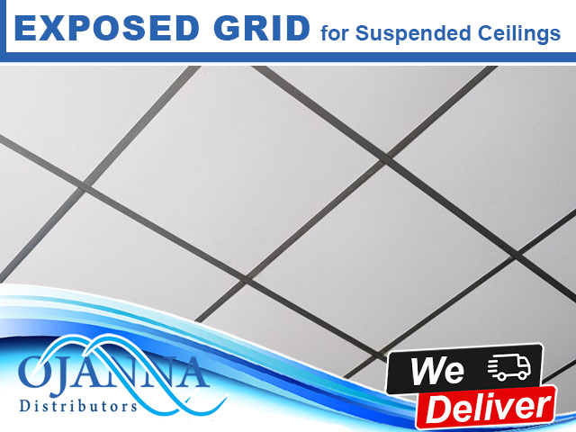 Exposed Grid for Suspended Ceilings in George