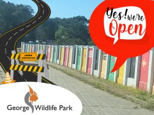 What is Happening at the George Wildlife Park